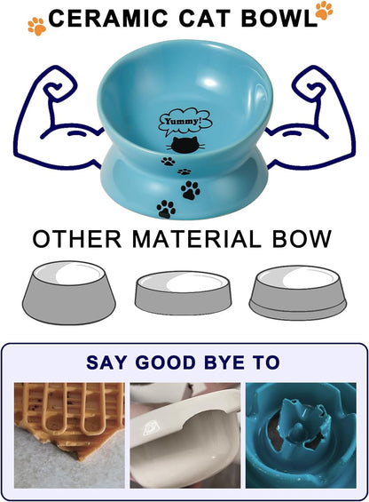 Elevated Cat Food Bowl, Ceramic Raised Bowl, Tilt Angle Protects Cat'S Spine, anti Vomiting Dish, Backflow Prevention, Lake Blue